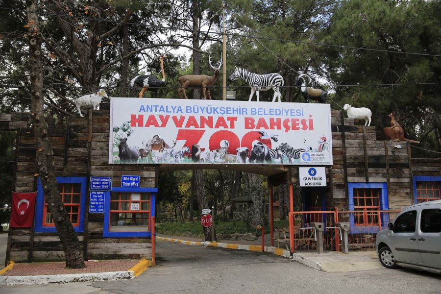 HAYVANAT BAHÇESİ YENİDEN AÇILDI