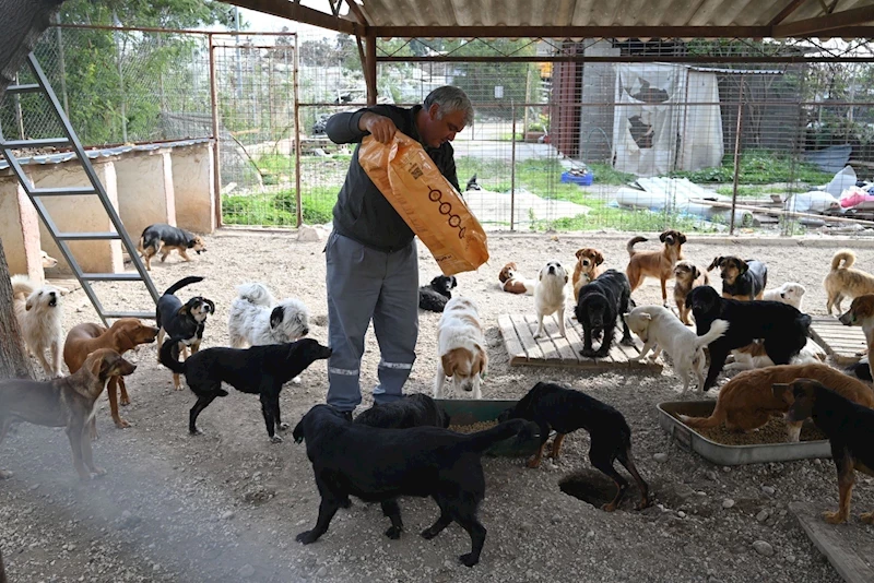 Kemer Belediyesi mama üretim tesisini açıyor