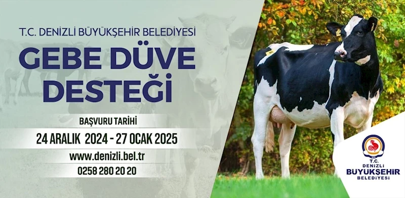 Denizli’de köye dönüş hayal değil