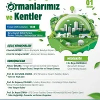 İklim Değişikliği ve Ormanlar Bursa