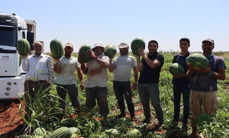 YAYLAK KARPUZU ÜRETİCİDEN ALINARAK VATANDAŞA ULAŞTIRILDI